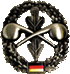 ABC-Abwehr Abzeichen