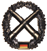 Artillerietruppe Abzeichen