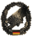 Fallschirmjäger Abzeichen