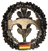 Pionier Abzeichen