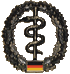 Sanitätsdienst Abzeichen