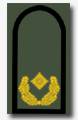 Brigadegeneral