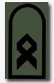 Hauptfeldwebel
