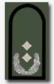 Oberstleutnant