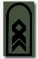 Stabsfeldwebel